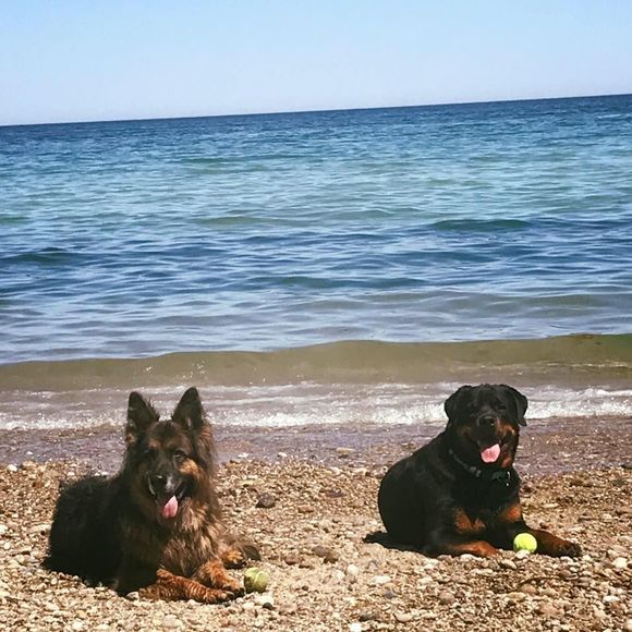 Meet your Posher, Taylor - Picture 1 of 1